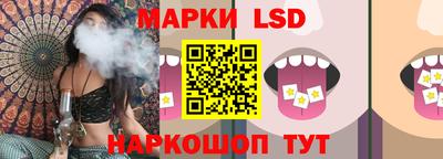 твердый Новодвинск