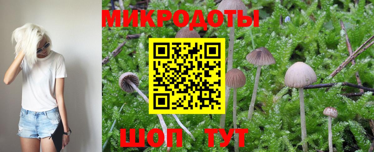 Тамбов  сколько стоит  Вход с VPN  Псилоцибиновые грибы мухоморы 